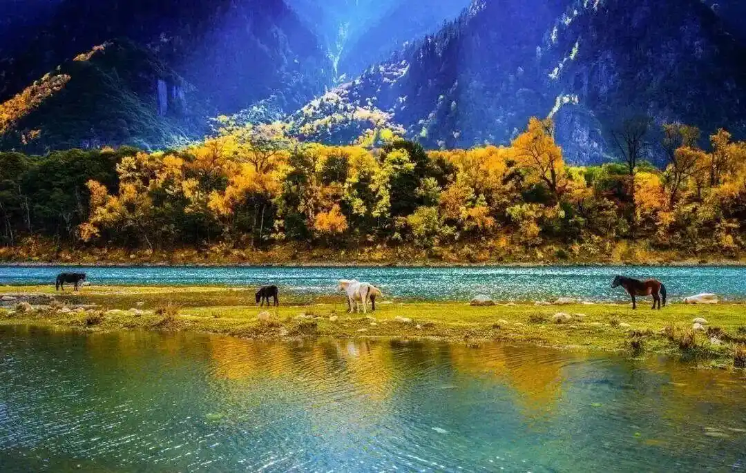 懂西藏的人，一定不会错过林芝的秋天