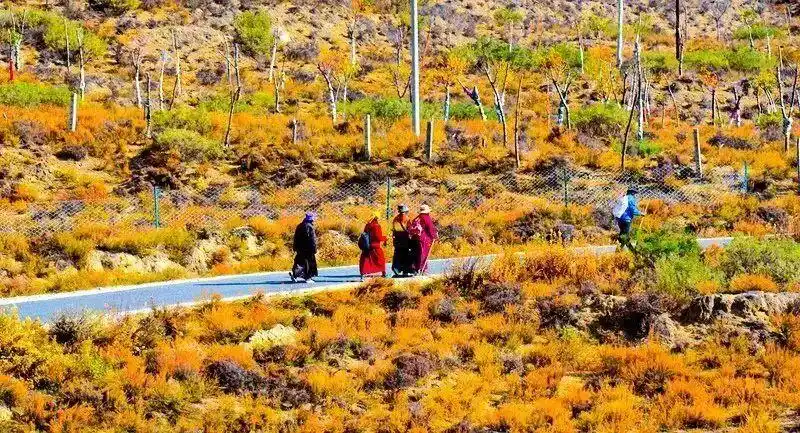 懂西藏的人，一定不会错过林芝的秋天