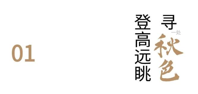 龙门石窟最好逛的季节开始了！