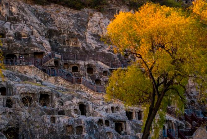 龙门石窟最好逛的季节开始了！