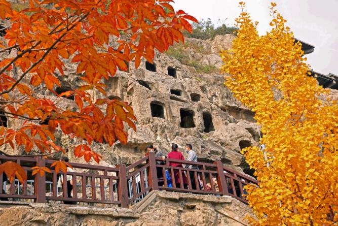 龙门石窟最好逛的季节开始了！