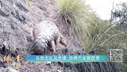 绿水青山的中国丨探秘横跨闽赣的“双世遗”奇境