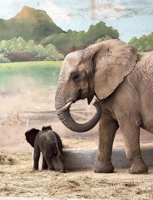 热门旅行地！民宿预定量TOP5！迎接“双节”，威海准备好了