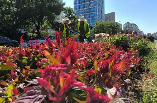 热门旅行地！民宿预定量TOP5！迎接“双节”，威海准备好了