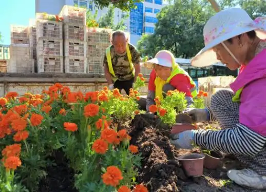 热门旅行地！民宿预定量TOP5！迎接“双节”，威海准备好了