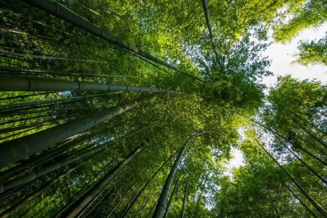 十一跨省游？11个小众宝藏景点带你避开人流