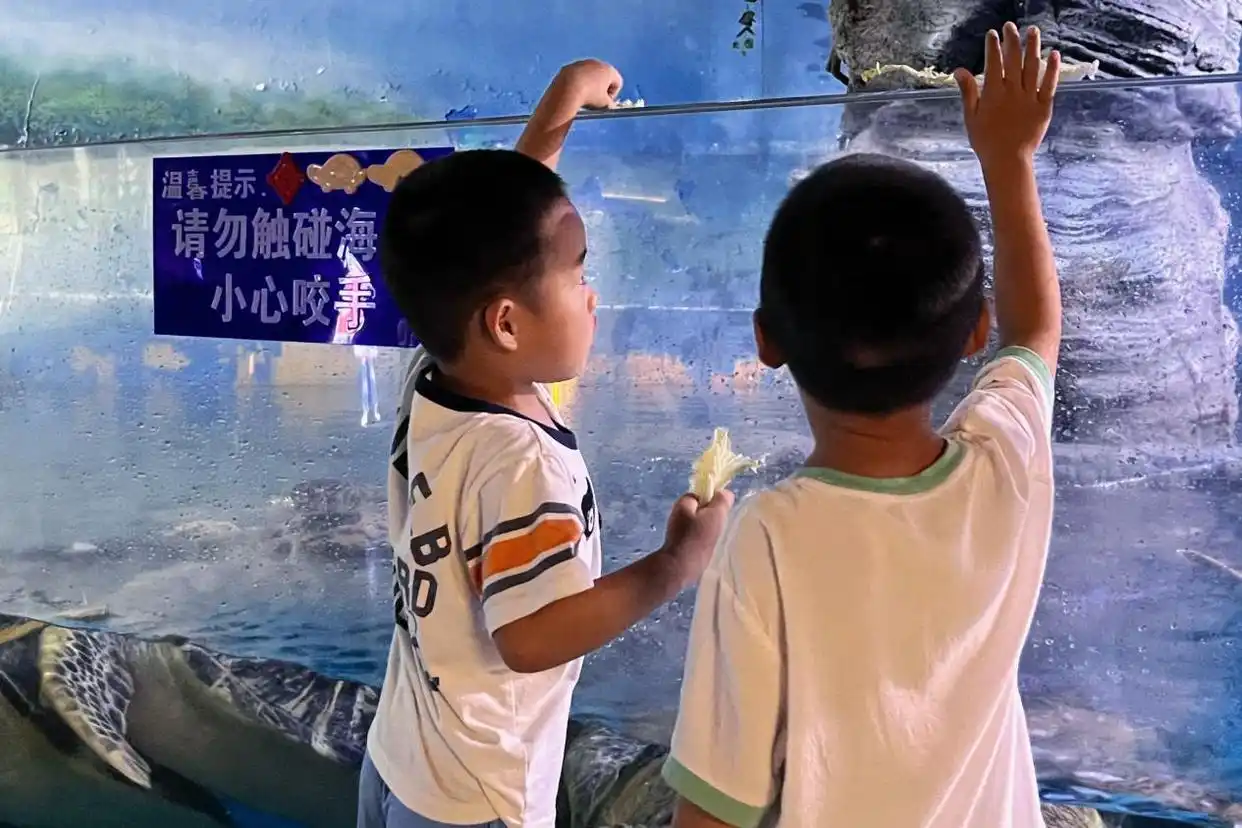 走进烟台渔人码头 解锁海滨游新玩法