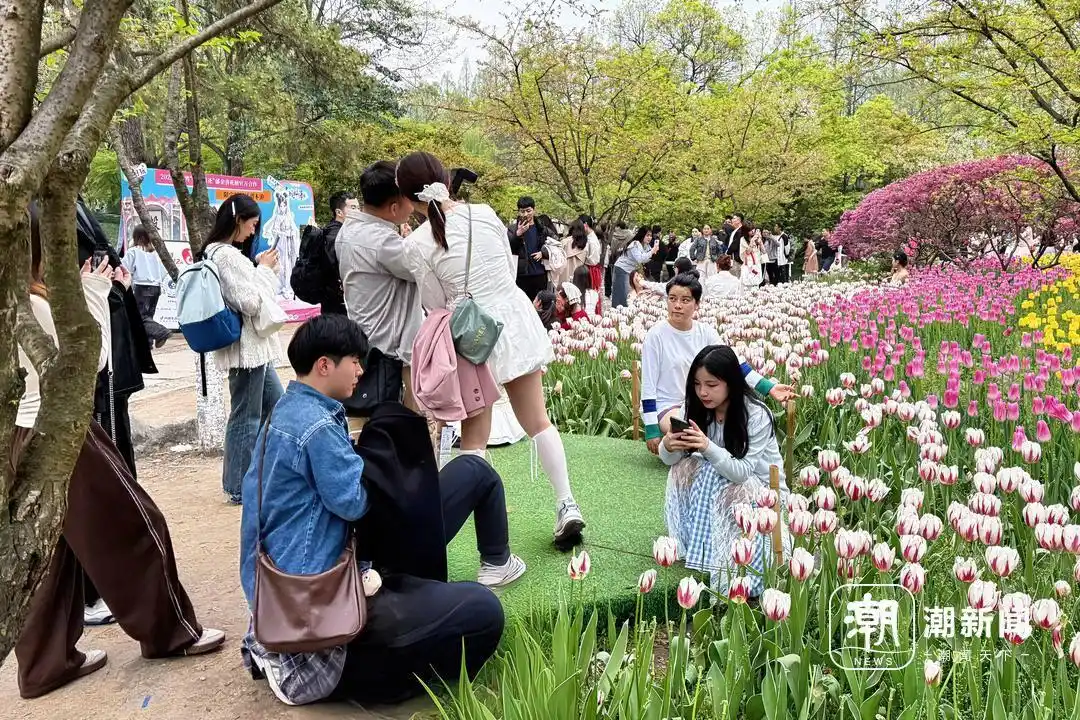 从代排队到心理疗愈，年轻人流行的“私人陪游”是否靠谱？