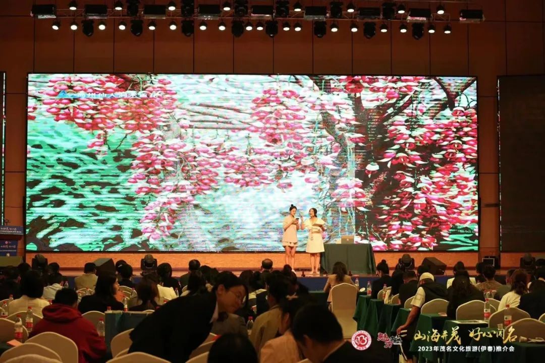 从“滨海茂名”到“林都伊春”，茂名文旅推介会实力圈粉！