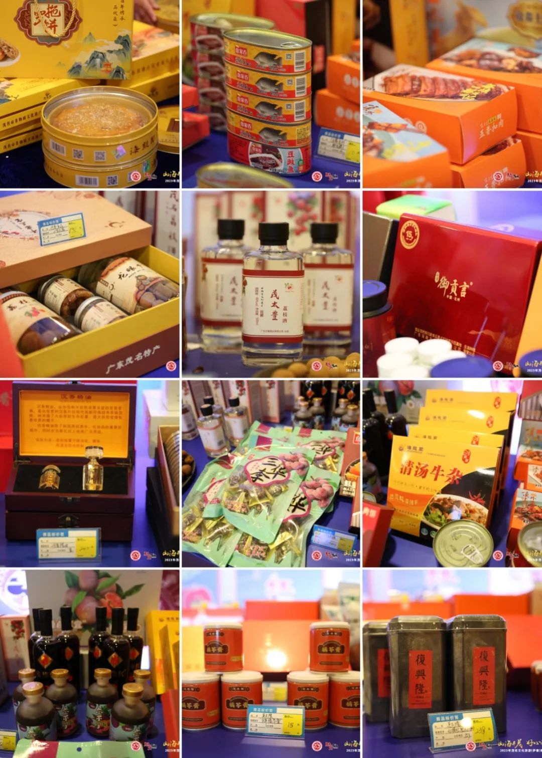 从“滨海茂名”到“林都伊春”，茂名文旅推介会实力圈粉！