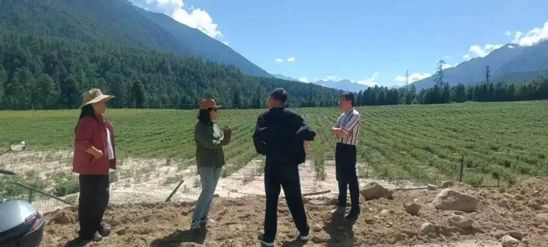 林芝市工商联深入察隅县企业开展调研