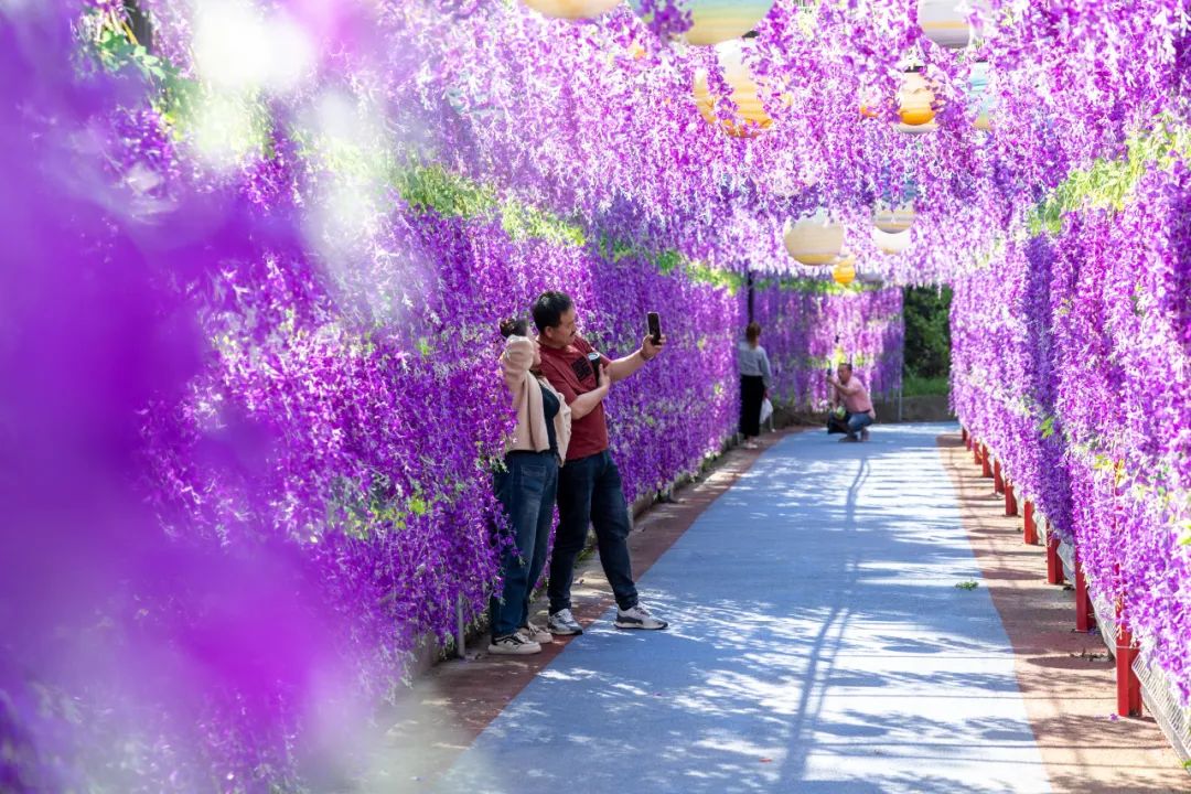 村民“入股”千万元打造，山村建起“游乐园”，就在……