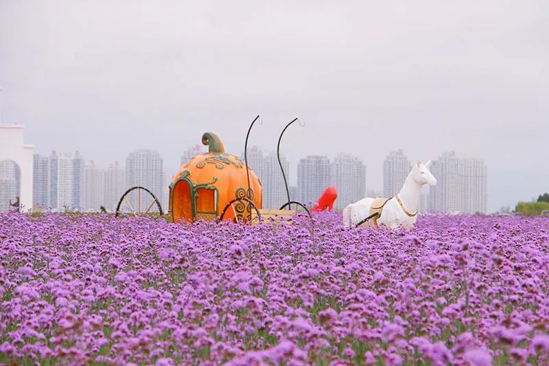 国家级旅游度假区+1，惬意度假周末就出发！