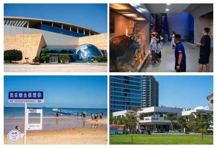 国庆烟台必打卡！15大网红片区打包山海浪漫+非遗鲁菜+亲子快乐