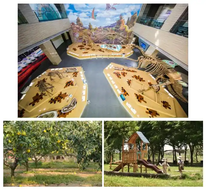 国庆烟台必打卡！15大网红片区打包山海浪漫+非遗鲁菜+亲子快乐