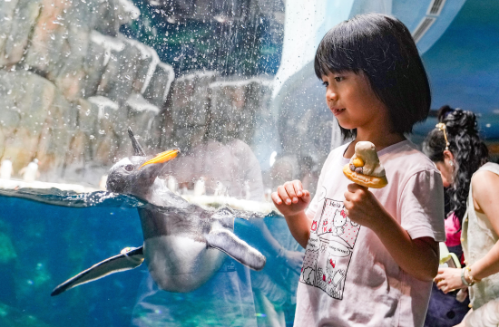 海南夏季旅游话题营销成效显著！ “清凉海岛”话题全网互动声量超8亿次