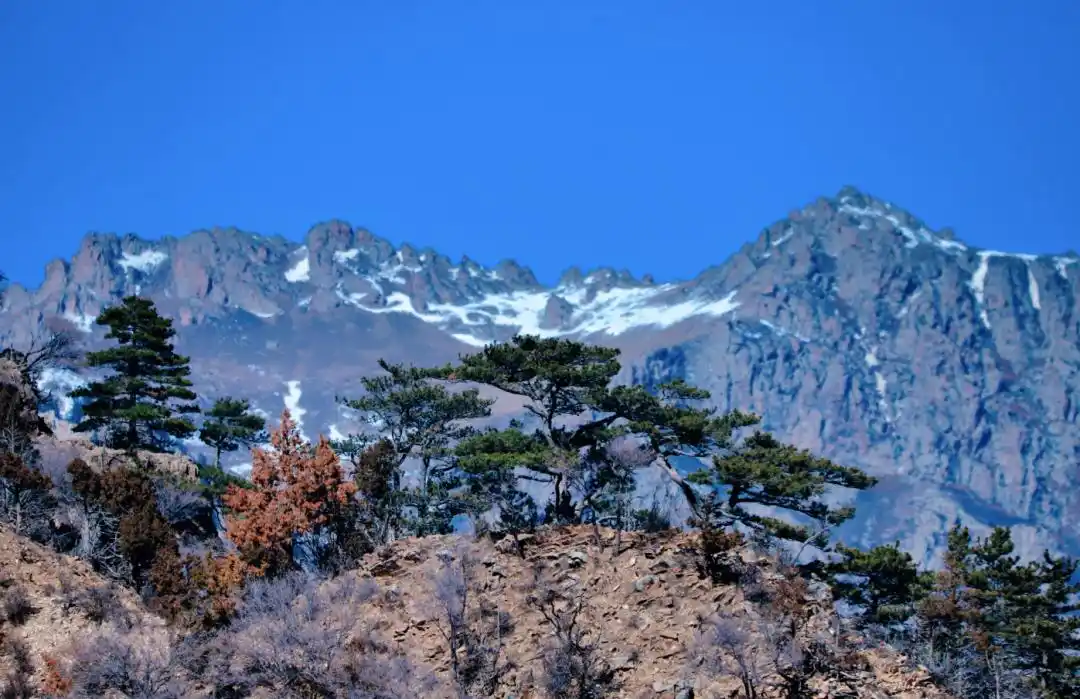 乘“封”而上过龙年｜巴适得板 春节周边自驾游目的地推荐