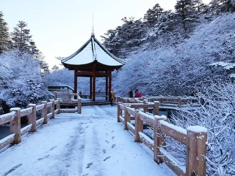 乘“封”而上过龙年｜巴适得板 春节周边自驾游目的地推荐