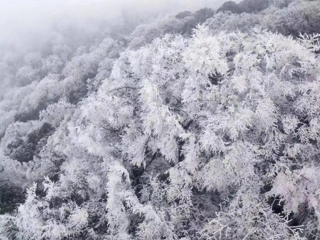 乘“封”而上过龙年｜巴适得板 春节周边自驾游目的地推荐