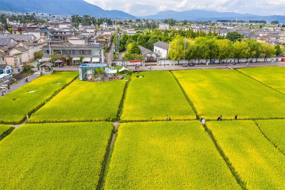 旅游回暖 势头强劲｜大理中秋假日成绩单新鲜出炉