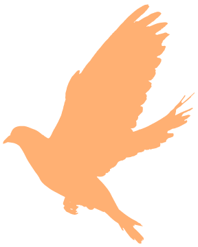 最高37℃！湖南气象发布最新假期天气