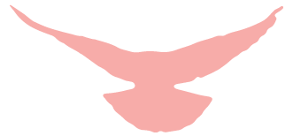 最高37℃！湖南气象发布最新假期天气