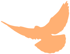 最高37℃！湖南气象发布最新假期天气