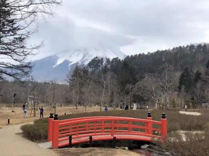 哪些因素造就日本入境游的红火