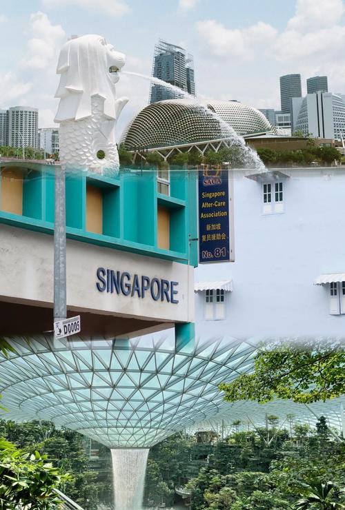 境外游打车更方便！阿里高德打车再增14国，首次进驻东南亚、南美洲和非洲