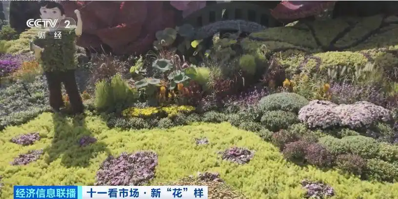 必打卡景点！今年天安门广场巨型花篮有什么新“花样”？记者探访→