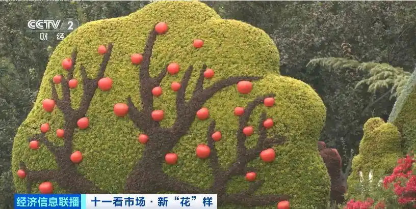 必打卡景点！今年天安门广场巨型花篮有什么新“花样”？记者探访→