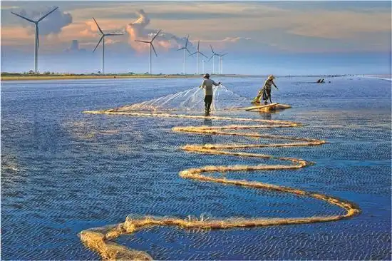 湛江：深入挖掘海岛文旅发展潜力 打造国际北热带滨海旅游目的地