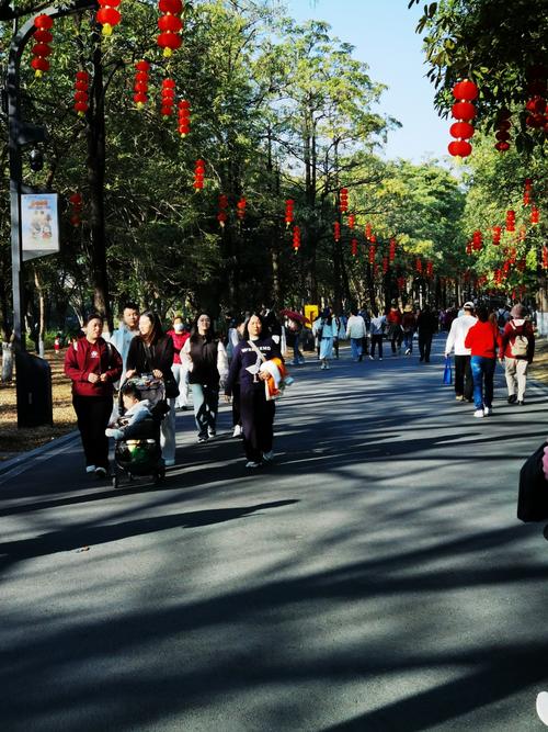 广州各大景区景点游客大增秩序良好