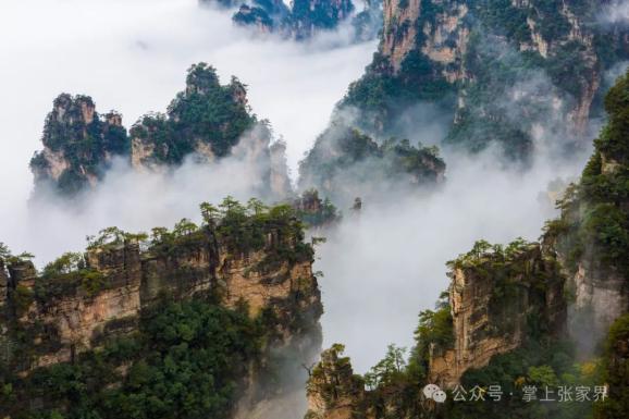 张家界：甜蜜经济破阵出圈