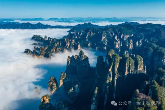 张家界：甜蜜经济破阵出圈