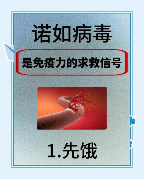 近百人腹泻 国际邮轮年内爆发多起诺如病毒