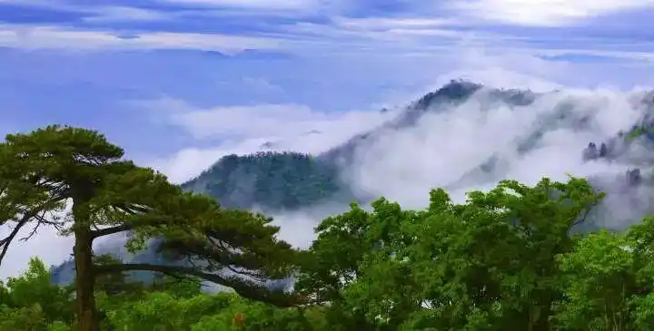 激增爆满，游客滞留！当地人懵了：活这么久，第一次限流！著名景点将看一次少一次？