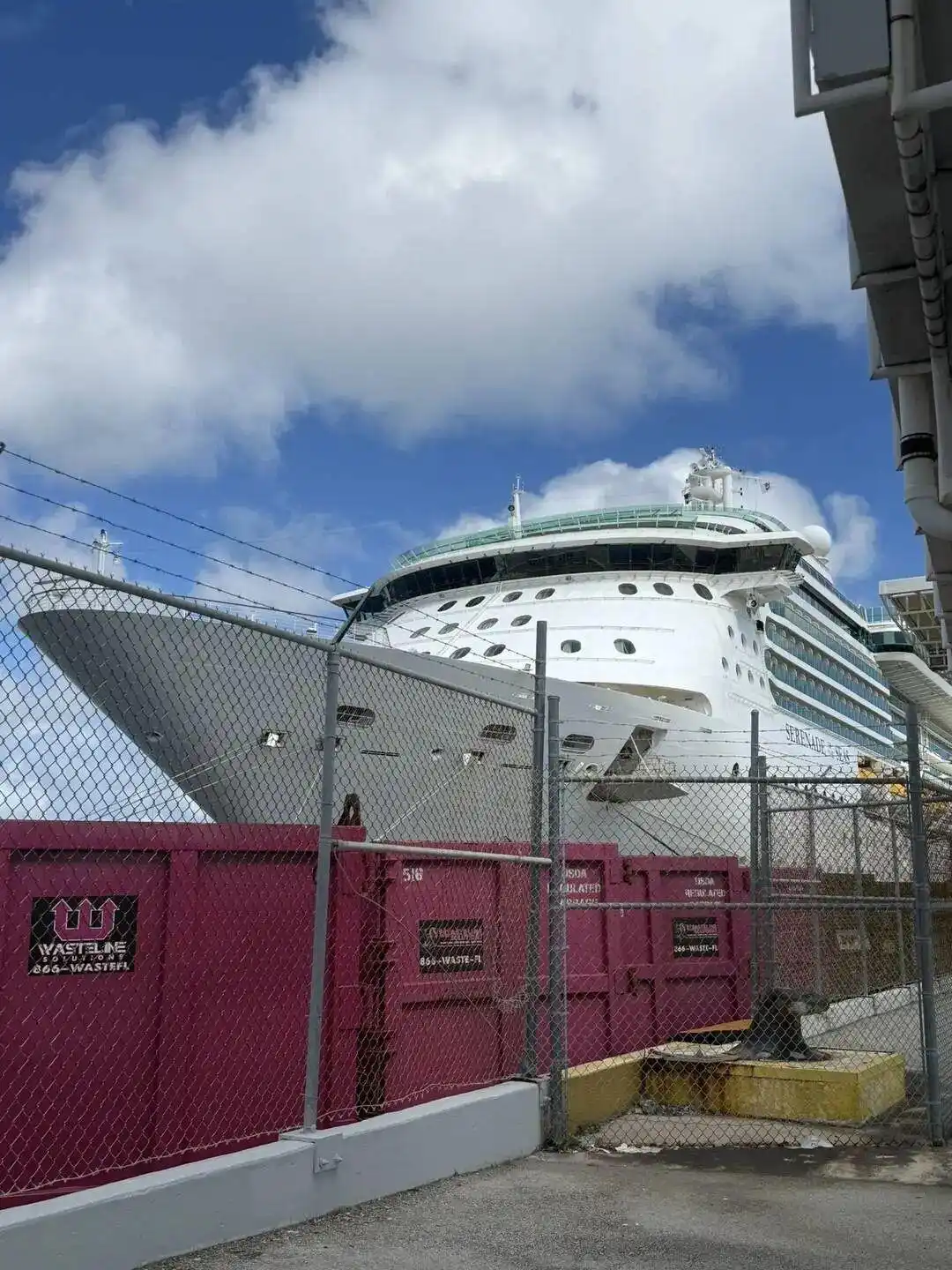 近百人腹泻呕吐！美国豪华邮轮途中暴发疫情，具有高度传染性