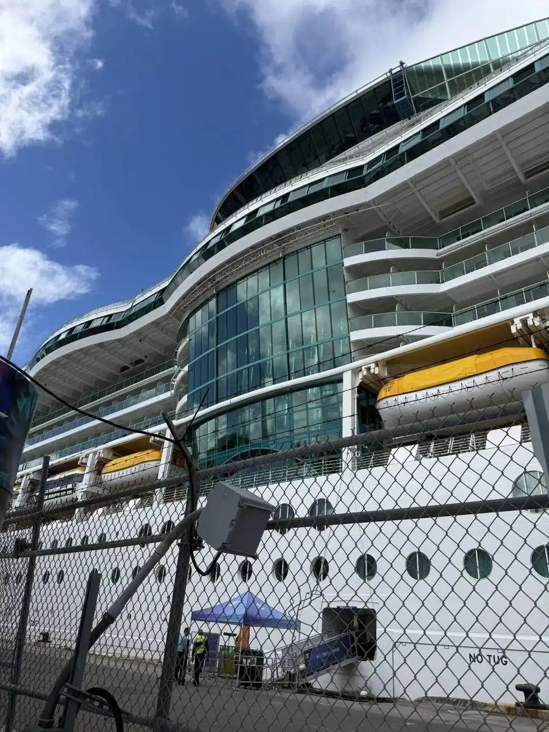 近百人腹泻呕吐！美国豪华邮轮途中暴发疫情，具有高度传染性