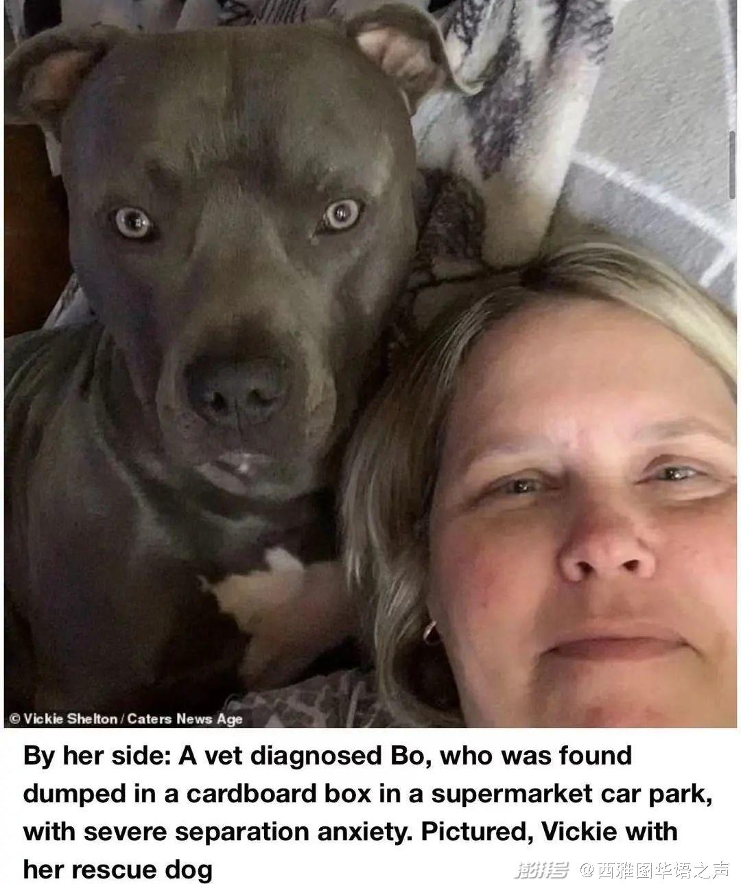 盖茨离婚不是友好分手？家人都挺梅琳达 | 美加新闻播报