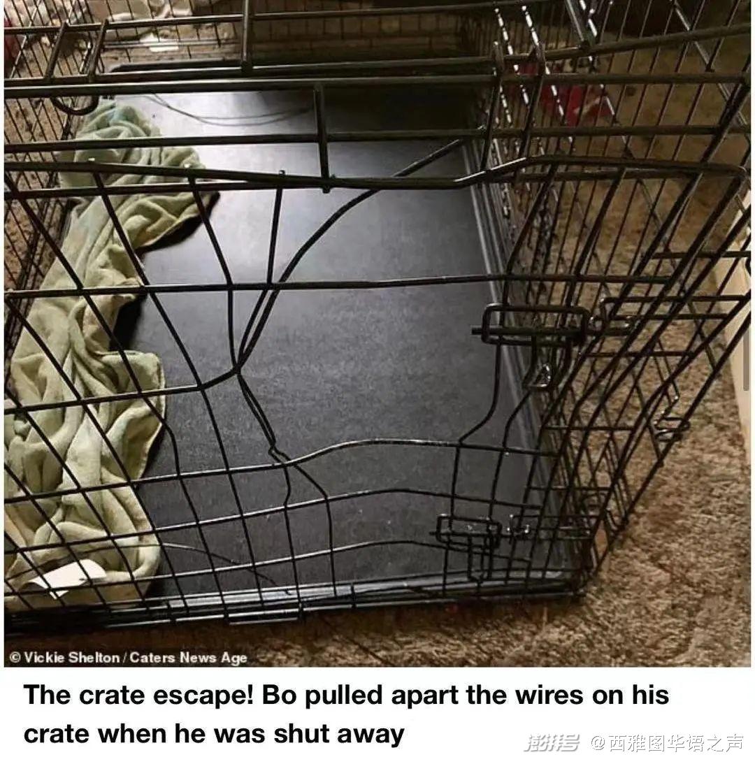 盖茨离婚不是友好分手？家人都挺梅琳达 | 美加新闻播报