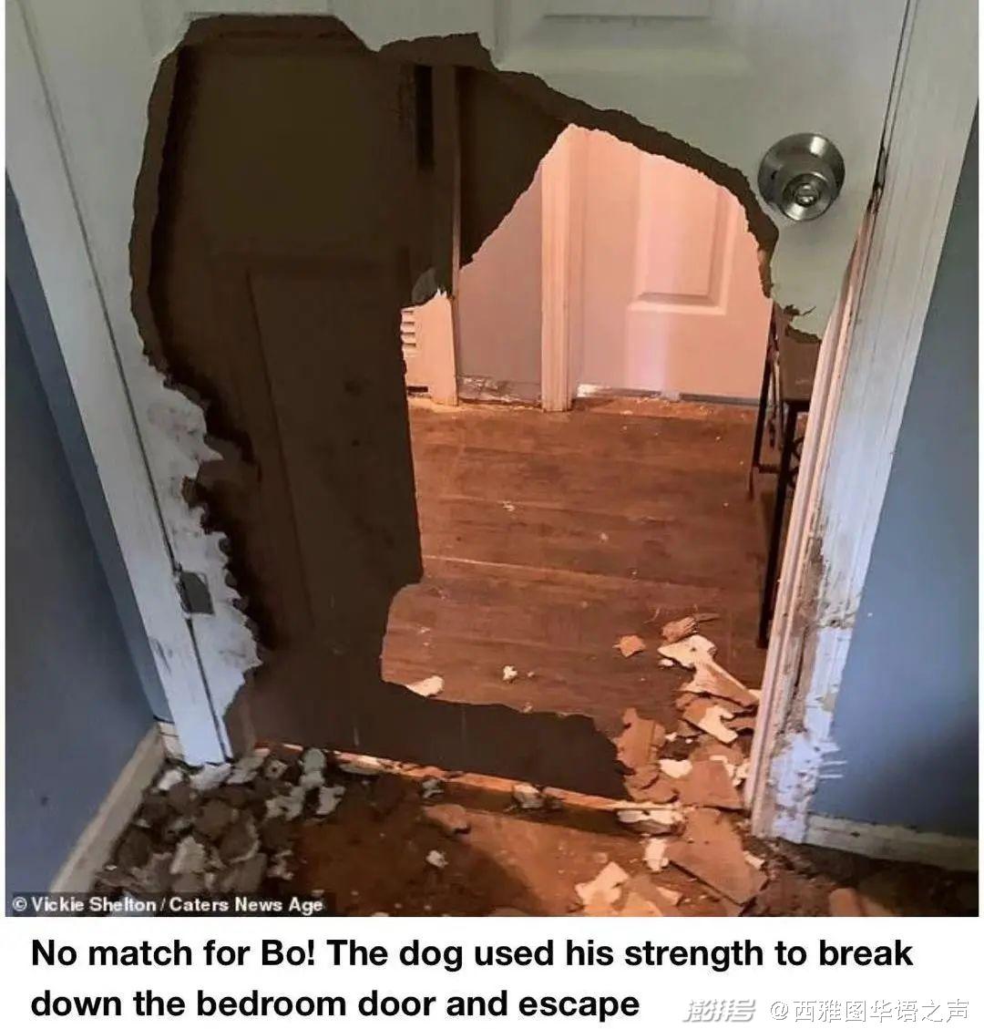 盖茨离婚不是友好分手？家人都挺梅琳达 | 美加新闻播报