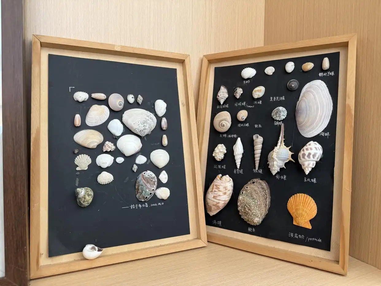 蔚蓝新机丨“宝藏”海岛旅行手册：石头房、鲍鱼砖 栖居特色民宿 悠然沐海风