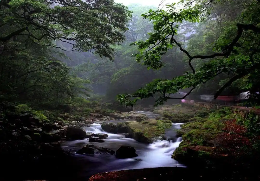 张家界武陵源景区自助游产品线路推荐