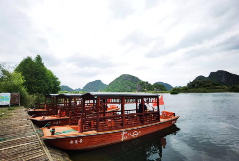 李清照教你玩转普者黑  天鹅湖推新游线