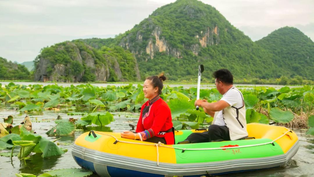 李清照教你玩转普者黑  天鹅湖推新游线