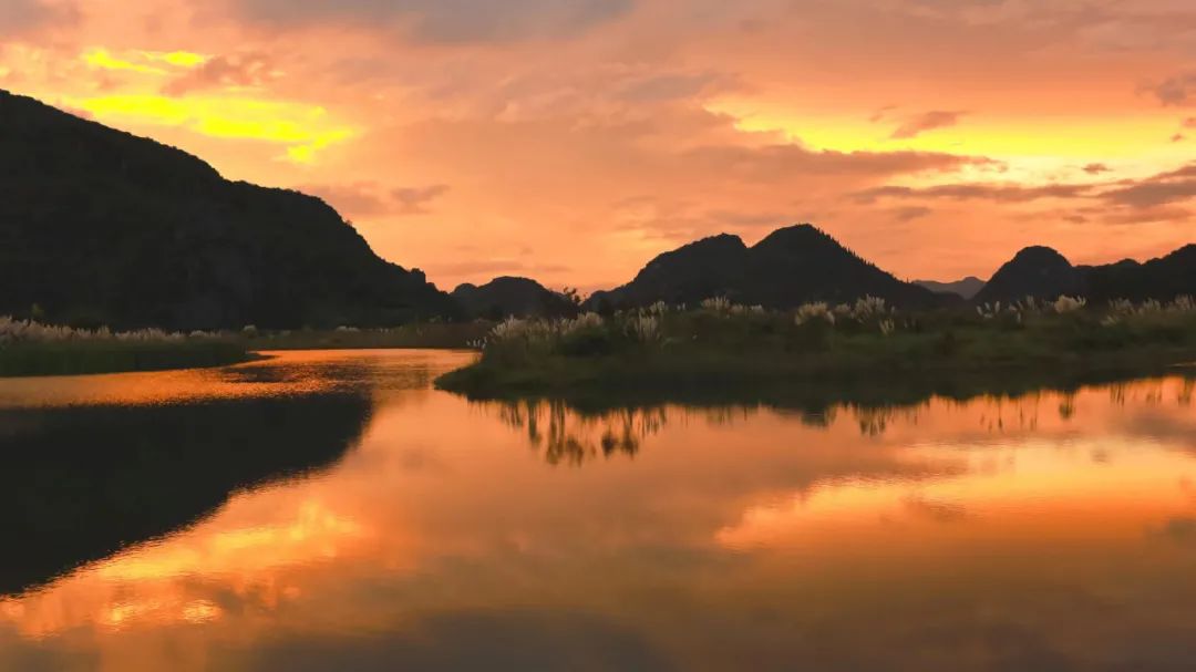 李清照教你玩转普者黑  天鹅湖推新游线