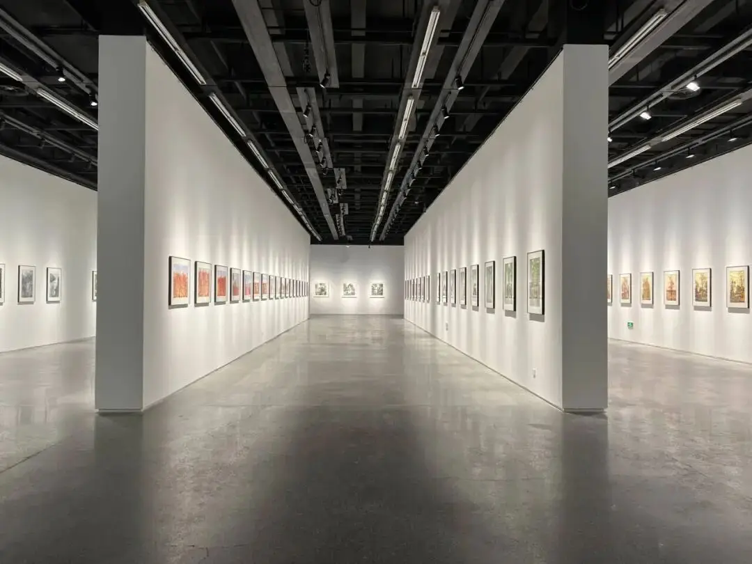 雅昌专稿 | “仰山”作为时代精神的基座