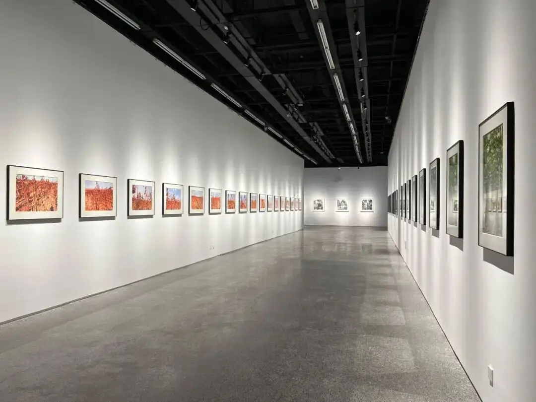 雅昌专稿 | “仰山”作为时代精神的基座