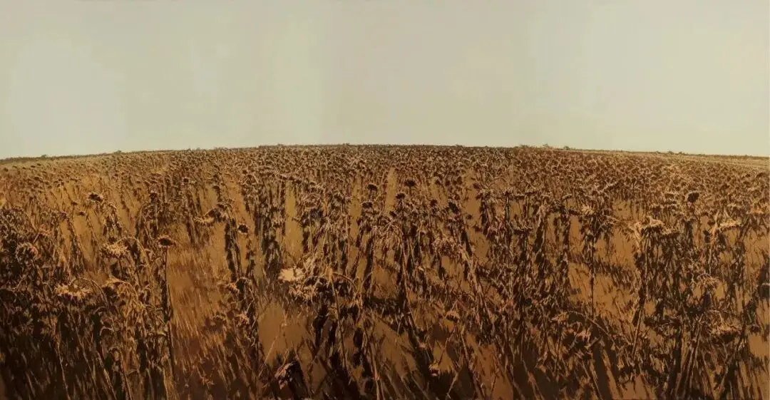 雅昌专稿 | “仰山”作为时代精神的基座